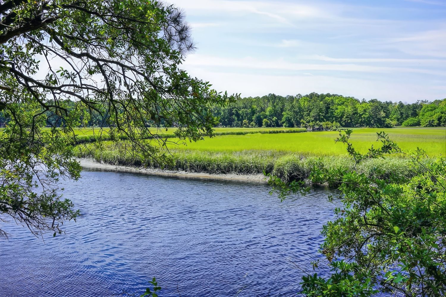 Palmetto Trail at the Awendaw Creek.