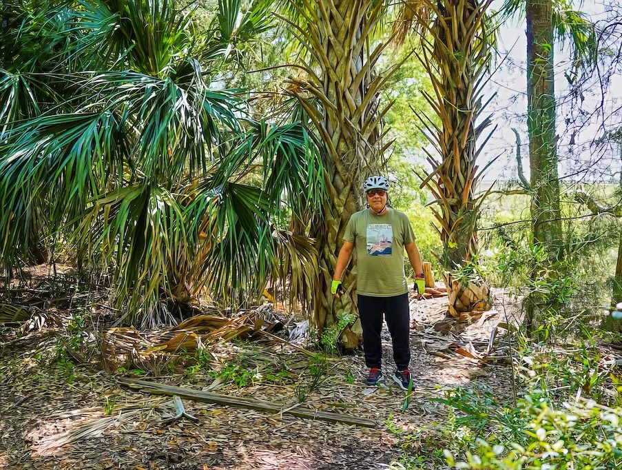 The Palmetto Trail at Awendaw Passage with Eddie standing in the middle of palmetto trees at the edge of the trail.